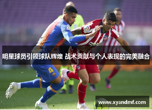 明星球员引领球队辉煌 战术贡献与个人表现的完美融合