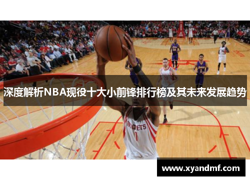 深度解析NBA现役十大小前锋排行榜及其未来发展趋势