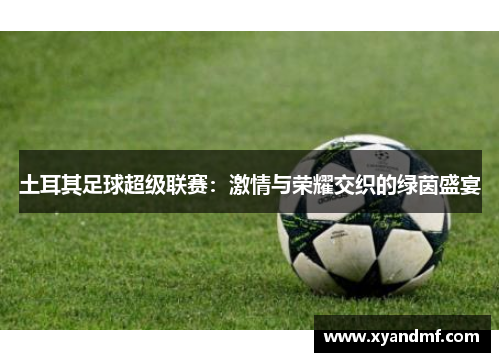 土耳其足球超级联赛：激情与荣耀交织的绿茵盛宴