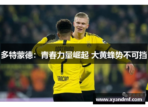 多特蒙德：青春力量崛起 大黄蜂势不可挡