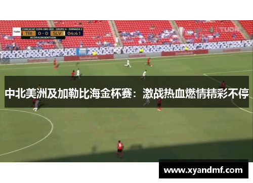 中北美洲及加勒比海金杯赛：激战热血燃情精彩不停
