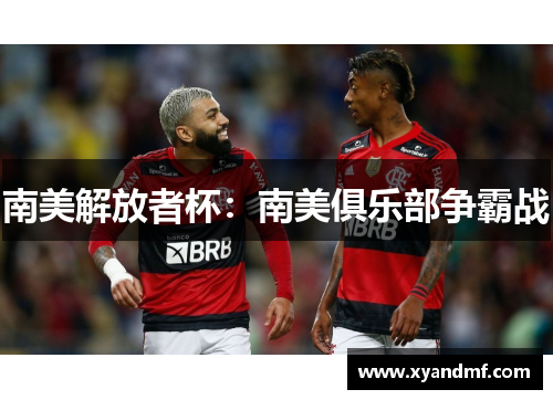 南美解放者杯：南美俱乐部争霸战