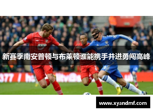 新赛季南安普顿与布莱顿谁能携手并进勇闯高峰